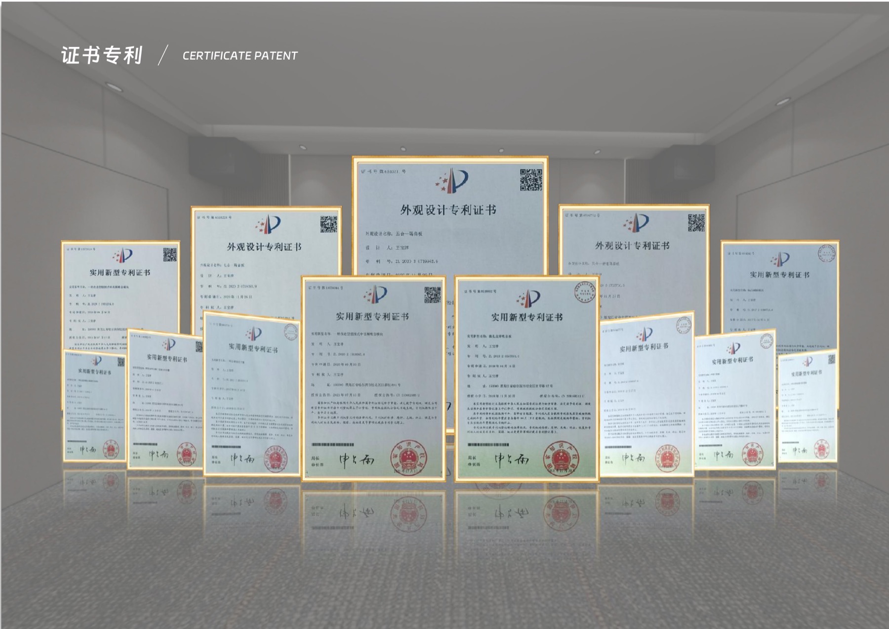 YBS patent portfolio display